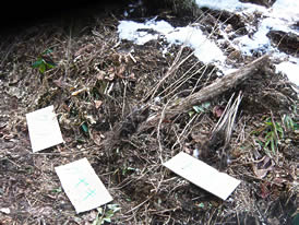 ちば四季彩の森　植林ボランティア活動 2008/02/16