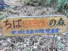ちば四季彩の森　植林ボランティア活動 2009/02/15