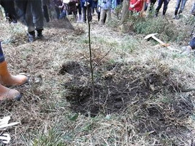 ちば四季彩の森　植林ボランティア活動 2009/02/15