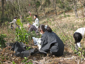 かずさの森　植林ボランティア活動 2011/03/06